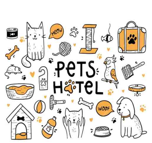 Konaklama Pet Otel